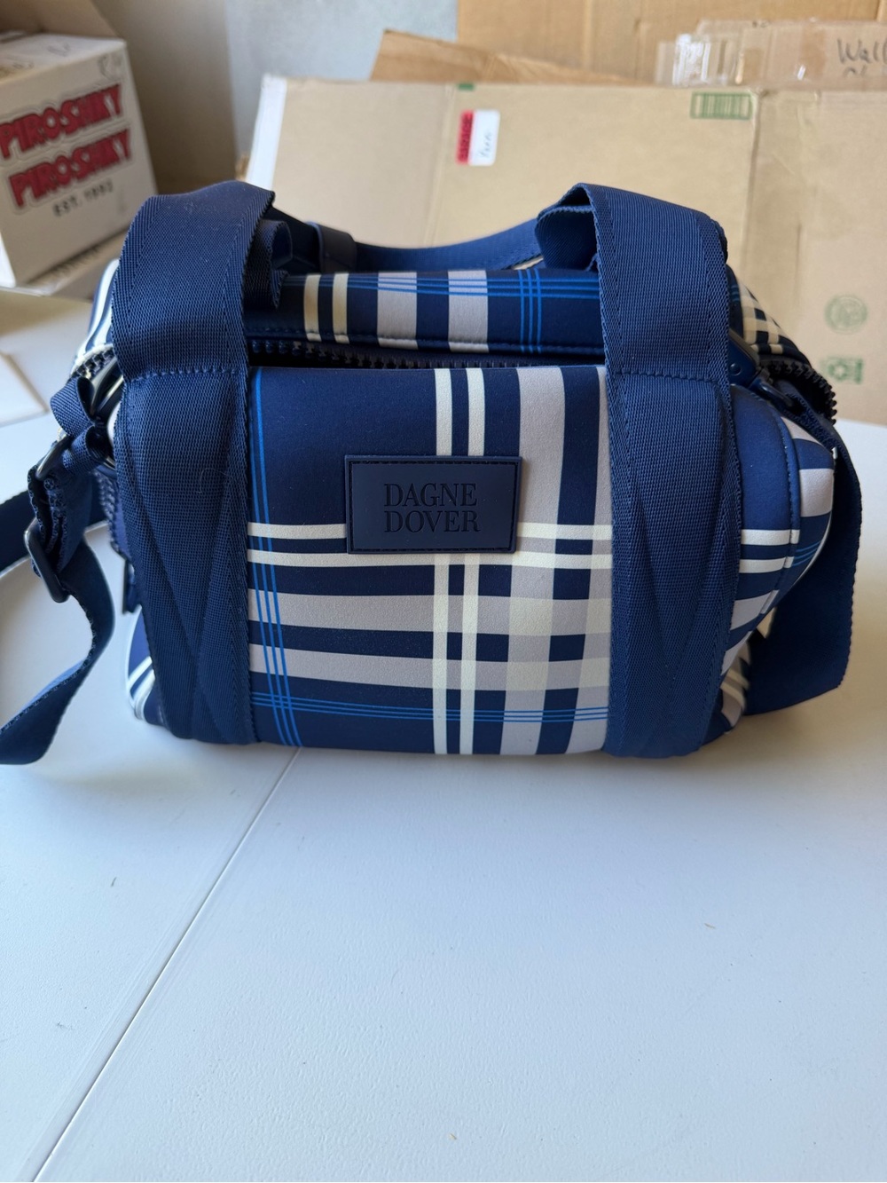 Dagne Dover Blue Plaid Landon Carryall Small